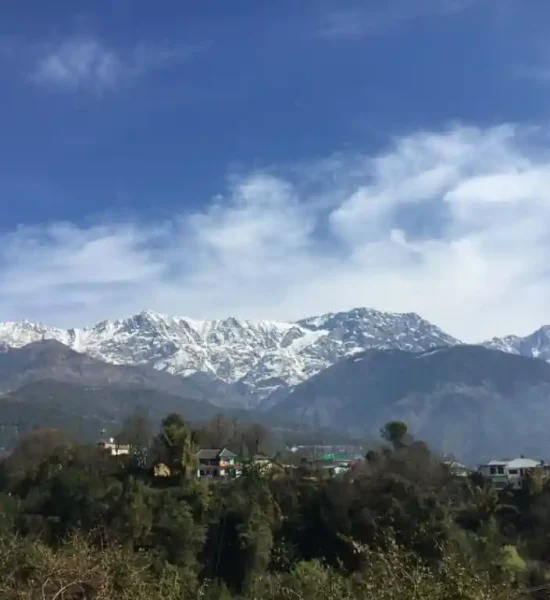 Dharamshala & McLeod Ganj