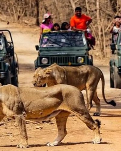 Gir National Park