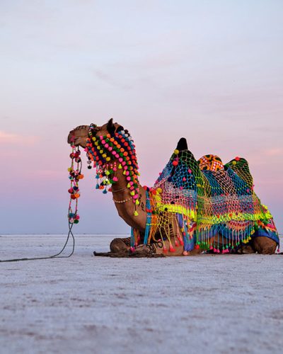 Great Rann Of Kutch (14)