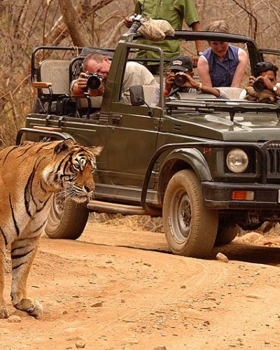 Ranthambore