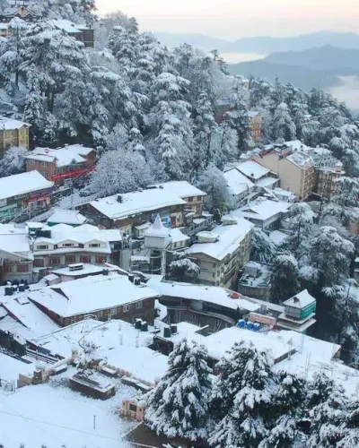 Shimla