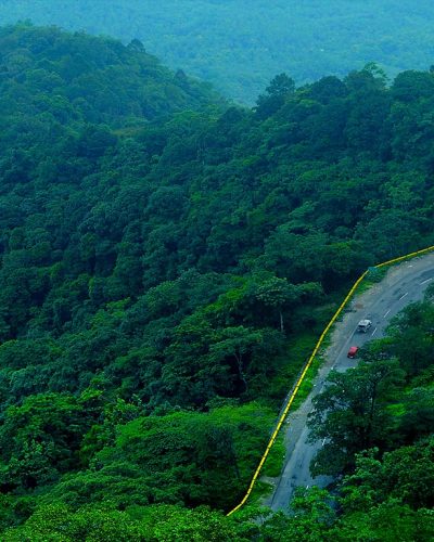 Wayanad