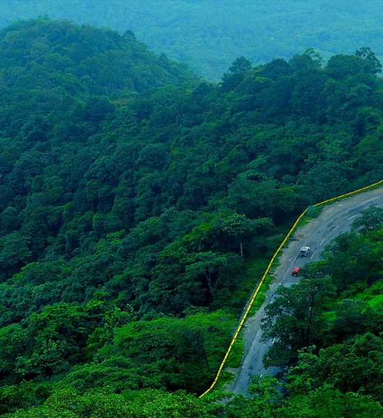 Wayanad