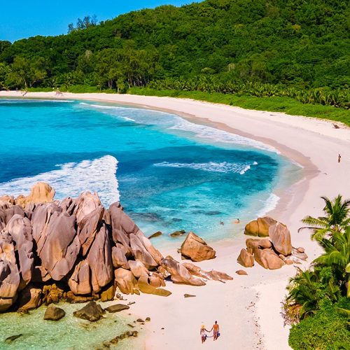 _f844fdb0-f8ed-40fb-9751-bc93191f8779